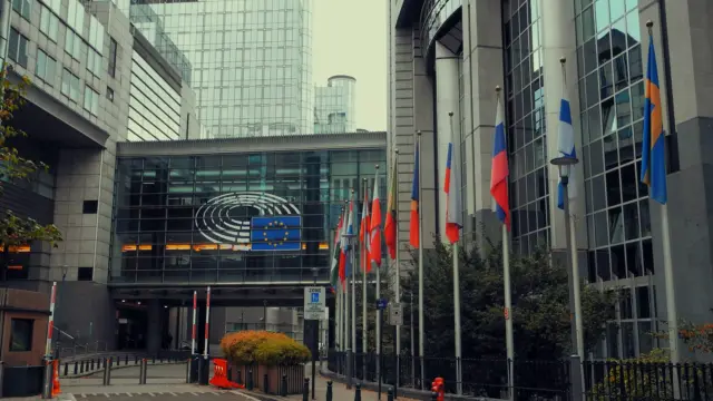 Budynek Parlamentu Europejskiego z rzędem flag Unii Europejskiej przed wejściem